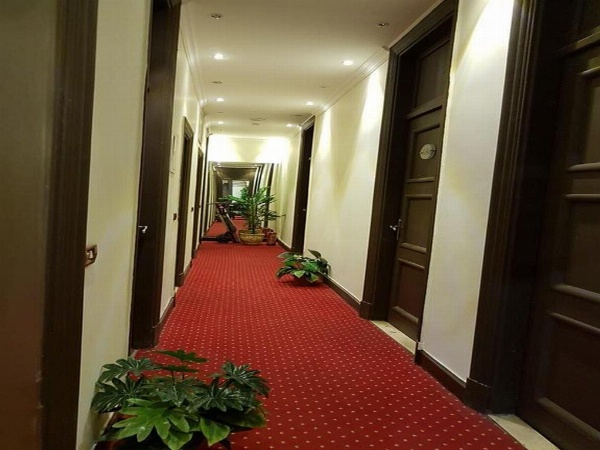 Cairo Paradise Hotel image 14